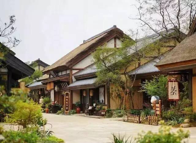 ���Ű�(�й���)�ٷ���վ