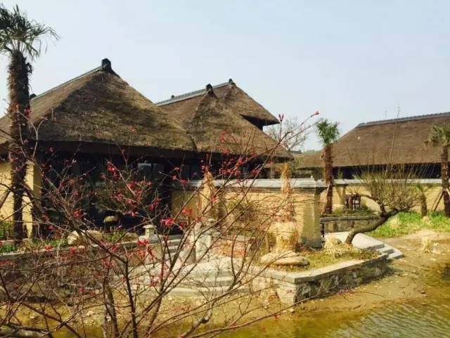 ���Ű�(�й���)�ٷ���վ