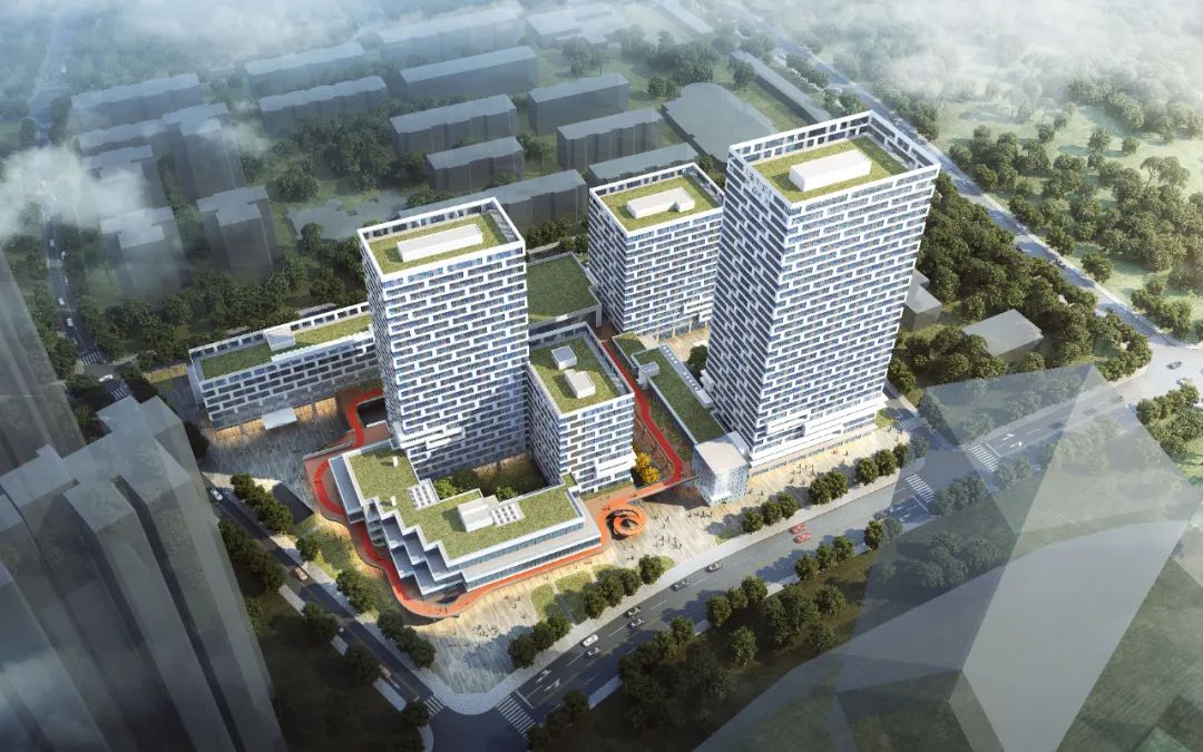 ���Ű�(�й���)�ٷ���վ