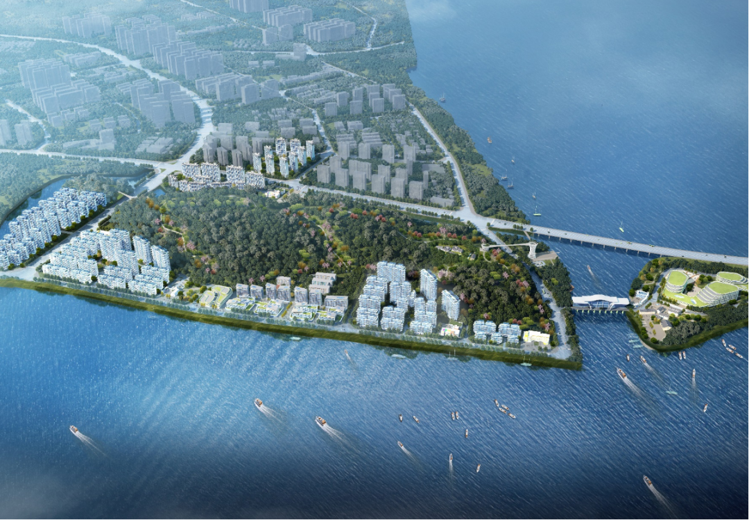 ���Ű�(�й���)�ٷ���վ