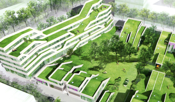 ����6����ִ���޽�������Ʊ�׼